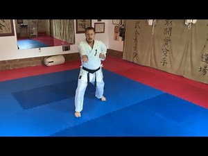 Kata #1 Egata Renbukai Karate