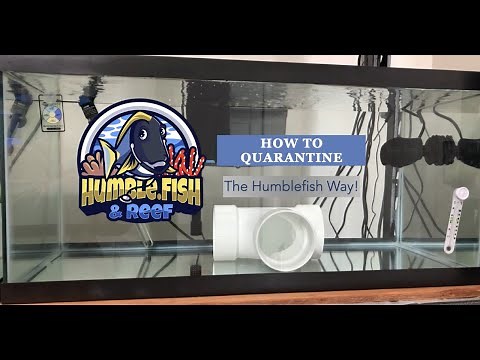 How to setup a Quarantine Tank