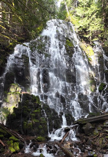 Explore the Best Hiking Trails in Oregon
