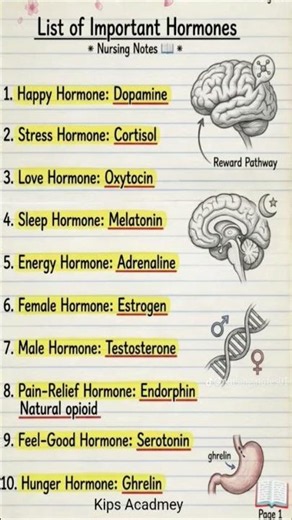 important hormones and their functions