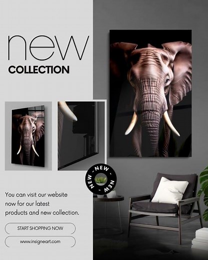 Fresh from the oven! New collection of awesome glass wall art by Insigne