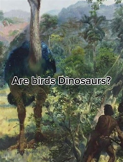 Birds Are Dinosaurs: Unraveling the Truth