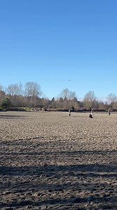 A peaceful morning at Jericho beach 🏖️ in Vancouver Canada 🇨🇦 #beachlife | Vancouver loves you