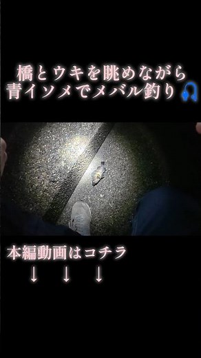 明石海峡大橋とウキを眺めてメバル狙い🎣