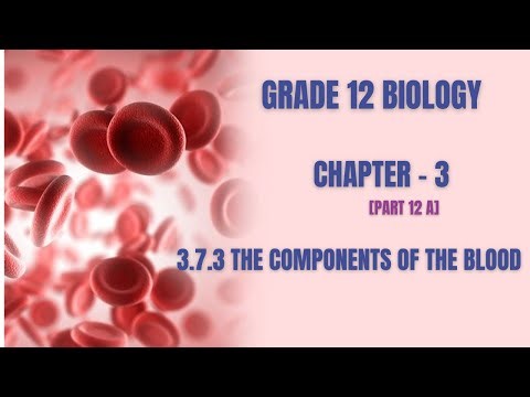 Grade 12 Biology: Chapter 3 - part 12 A