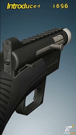 AR-7 Survival Rifle – The Gun That Floats & Fits in Its Stock! 🔫🌊 #viral #short