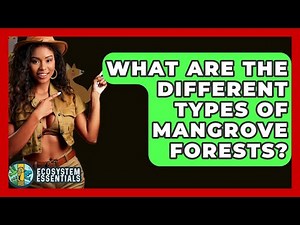 What Are The Different Types Of Mangrove Forests? - Ecosystem Essentials