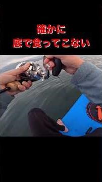 クロムツって棚高いよね…っていう動画。 #サップフィッシング #カヤックフィッシング #釣り #fishing #中深海 #中深海ジギング
