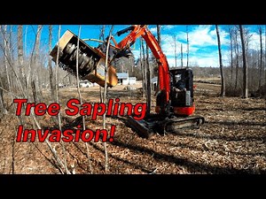 Clearing out a Tree Sapling Invasion with a Forestry Mulcher