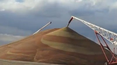 2.5K views · 41 reactions | When Kansas grain elevators are full, sorghum is being stored on the ground. This pile of sorghum near Dighton, Kansas in 2019 reminded us of sand art. | Kansas Travel at KansasTravel.org | Facebook