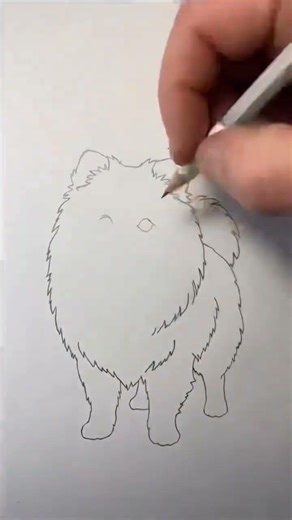 Cute Dog Pencil Drawing | Easy Puppy Sketch | Drawing Shorts #puppydrawing #dogdrawing #cutedog