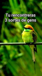 746K views · 10K reactions | Y a trois sortes de gens ... | Source d'Inspiration | Facebook