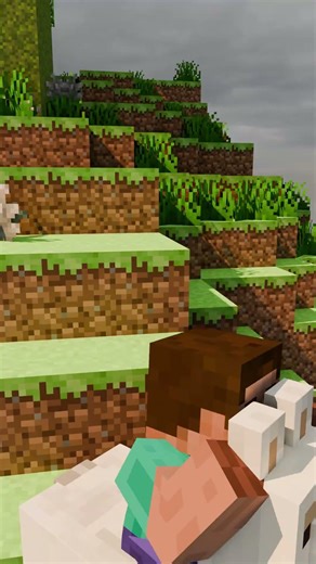 Minecraft Mob Plane #minecraft #animation