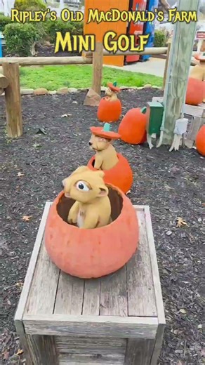 Ripley's Old MacDonald's Farm Mini Golf