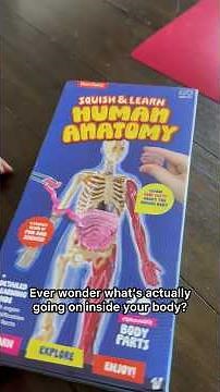 Inside the Human Body! Dan & Darci Anatomy Toy Review