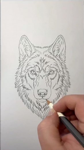 How to draw a wolf pencil sketch time lapse #art #drawing #sketch #draw