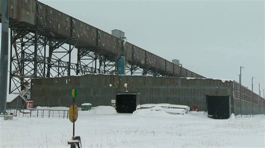 Manitoba to examine potential marine conservation area in Hudson Bay