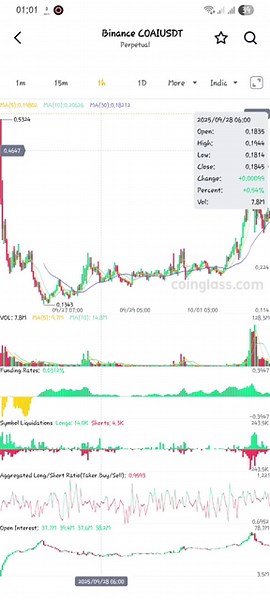 How to Analyse Crypto Coins / Tokens Before Trading (Coinglass App Guide)