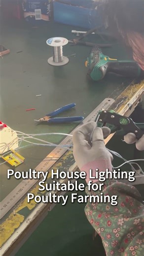 30.Poultry House Lighting Suitable for Poultry Farming #factory