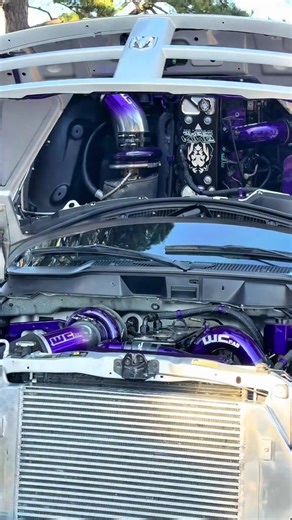 Bryce Johnson (@thabrycejohson)’s videos with original sound - Bryce Johnson