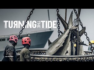 TURNING THE TIDE - Trailer