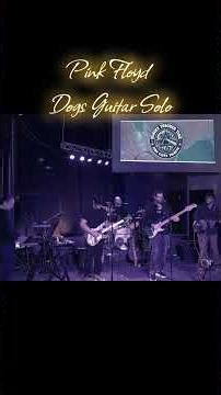 Pink Floyd- Dogs Live Guitar Solo Cover#livemusic #davidgilmour #pinkfloyd#rogerwaters #classicrock