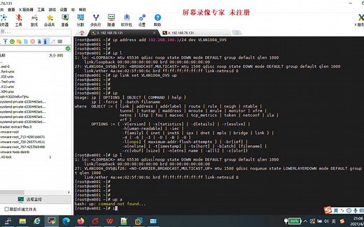 Openvswitch & VLAN实验