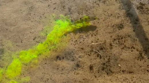 Neon trails follow a fish and make the ocean look like a sci-fi scene