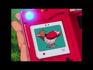 Spearow Pokédex Entry - Pokemon, I Choose You
