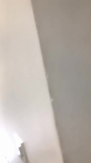 seguem aee gnt kkk @nevilesganzerla #fyp #fy #foryou