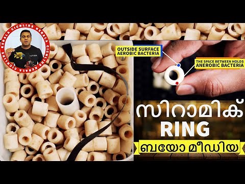 A Guide to Use Ceramic Rings Bio-Media in Aquarium Filtration | All-Rounder Bio-Media for Aquariums