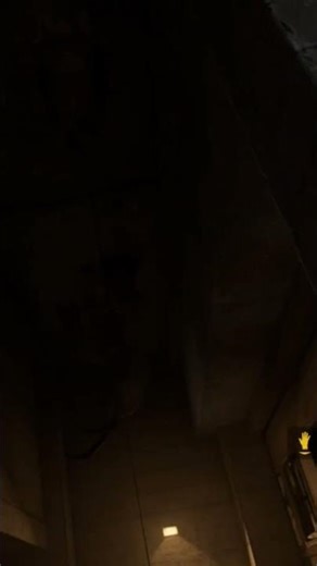 do you think it's safe? #vr #halflife #virtualreality #gaming #meme