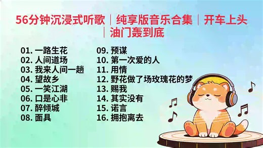 56分钟沉浸式听歌｜纯享版音乐合集｜开车上头｜油门轰到底#车载音乐#DJ#热门音乐#开车听#流行电音