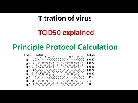 TCID50 assay principle protocol and calculation explained