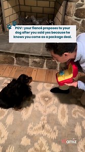 Now that's how to do a proposal right! ❤ | Wamiz Forever Pet