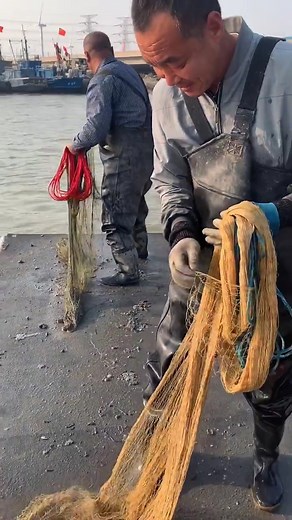 440K views · 2.7K reactions | Catching Fish Using Cast Net Fishing / Net Catch Fishing #Reels #fishing #skill #castnetfishing#fishtok #crab #ocean #giant #fish #fisherman #fishing #fishinglife #crabbing #shark #bigfish #sharkweek #boatlife #nature #science #boating #sushi #eel #santacruz #friendliestcatch #deadliestcatch #sustainable | Daily Discovery | Facebook