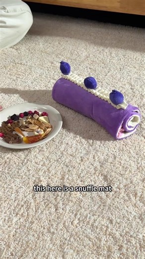 Discover Our New Snuffle Mat for Dogs