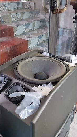 Deep Dive First Look at a Luxury 12 Inch Bass Speaker from China #automobile #bass