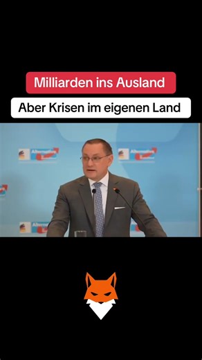 Billions abroad #afd #bundestag #politics #news #cdu