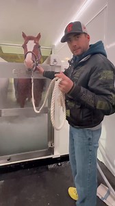 Trattamento SPA per il tuo cavallo qui al IRHA FUTURITY 2023 | Italian Reining Futurity