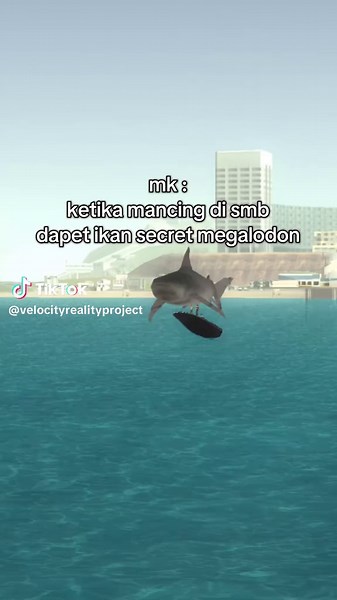 Halo velosioners! kamu mancing di smb udah dapet ikan apa aja? selain di roblox, di Velocity Reality Project juga bisa mancing loh yukkk ajak temen kalian main di server kita. Link di bio ya temen temen! #samp #gtaroleplay #gtamabar #fishitroblox #sampindonesia