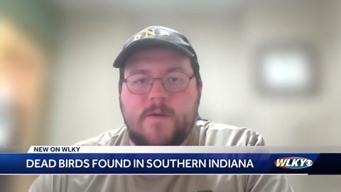 Sandhill cranes found dead in southern Indiana from bird flu