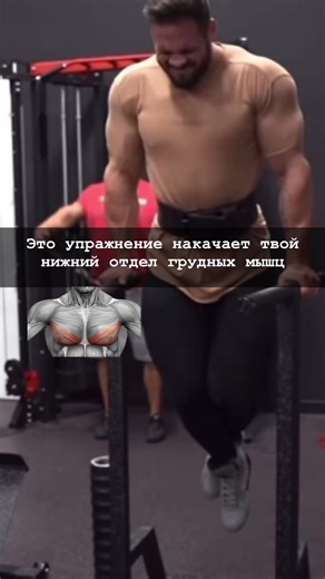 Effective Dips Workouts for Upper Body Strength and Muscle Gain