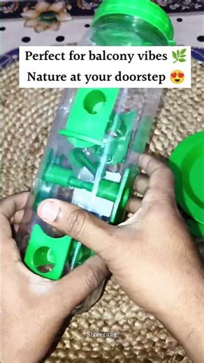 How to Attract Birds to Your Balcony! 🦜 Garden Decoration Bird Feeder