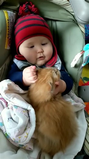 Baby kiss cat 😍😍🤩 #funnyvideos #babyvideo #funnybaby #cute #lovely #beautiful #lovelybaby #adorable #babycute #funnymoment | Funny Film