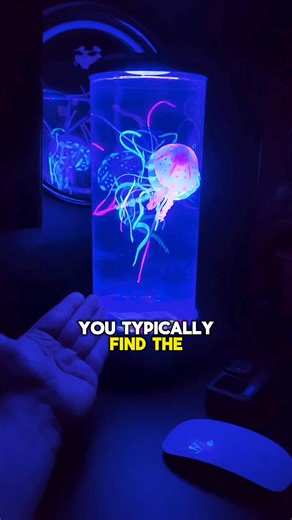 43K views · 1.3K reactions | 14 thrift stores haul #thriftstore #thriftfinds #thrifthaul #thriftstorefinds #thriftingtips #thriftstorehaul | Thrifting Treasure | Facebook