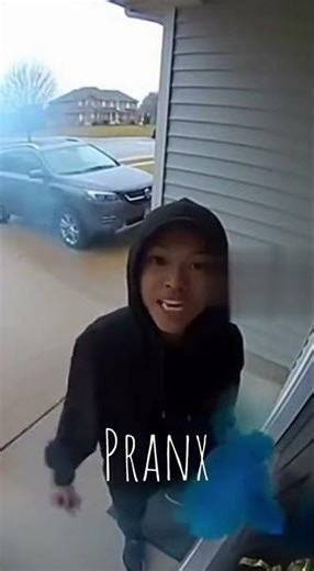 Porch Pirate’s Worst Day Ever