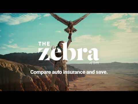 Save on Auto Insurance | Compare Quotes Fast | The Zebra