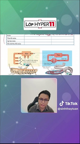 Sự khác biệt của HỆ TUẦN HOÀN MỞ VÀ HỆ TUẦN HOÀN KÍN - Khoá HYPER 11 SINH HỌC #fyp #viral #sinhthaytuan #sinhhoc12 #learnontiktok