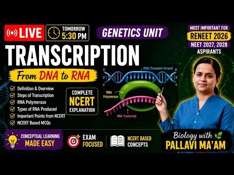 Transcription 🔥 DNA → RNA | Molecular Basis of Inheritance | Reneet 2026 Biology Live